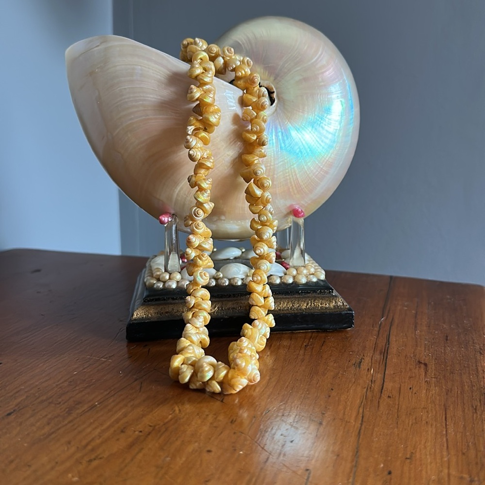 Rich Gold Trochus Shell Necklace